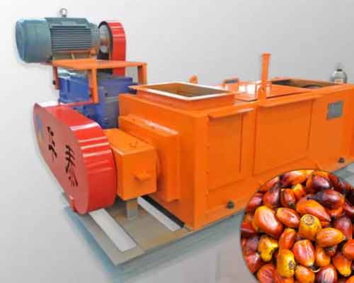 Máquina de prensa de aceite de fruta de palma