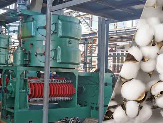 Máquina de prensa de aceite de semilla de algodón