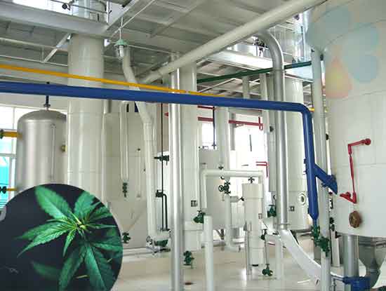 Máquina de extracción de aceite de cáñamo/CBD