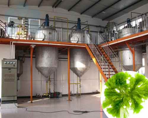 Máquina de refinación de aceite de DHA de algas