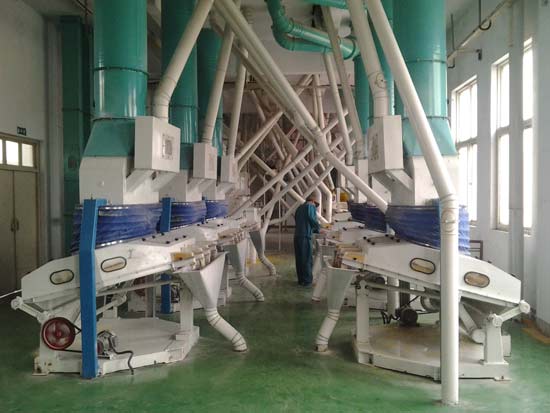 Máquina de procesamiento de harina de maíz