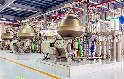 Extracción de aceite