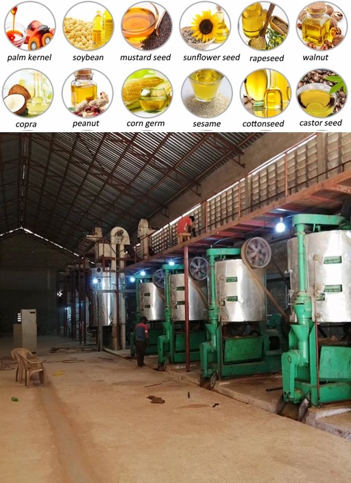 Máquina de prensa de aceite vegetal