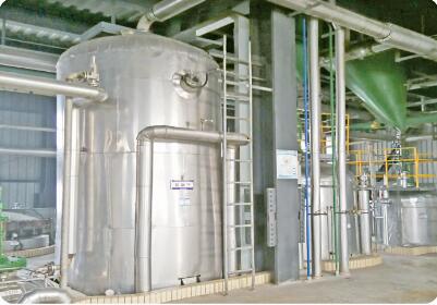Máquina de secado de semillas oleaginosas