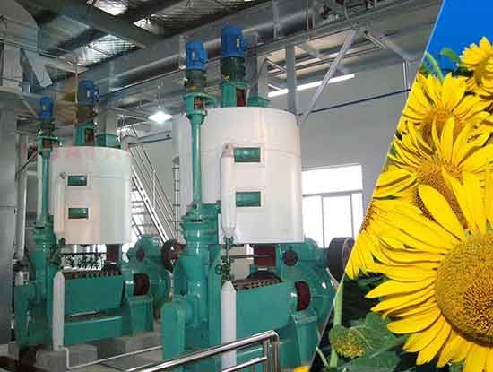 Máquina de prensa de aceite de girasol