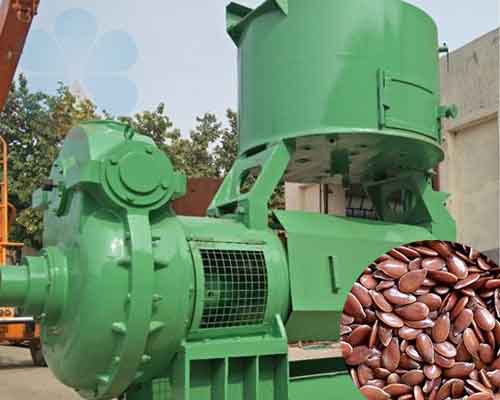 Máquina de prensado de aceite de linaza