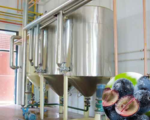 Planta de refinación de aceite de semilla de uva