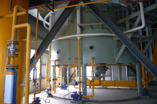 Línea de producción de aceite de germen de maíz Línea de producción de aceite de germen de maíz