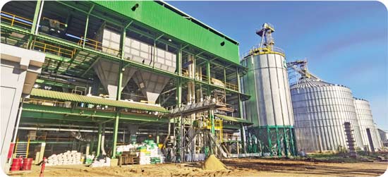 Línea de producción de aceite de soja Línea de producción de aceite de soja