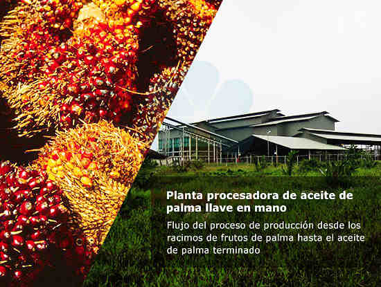 Línea de producción de aceite de palma