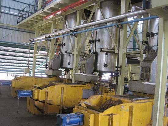 Máquina de digestión y prensado de fruta de palma