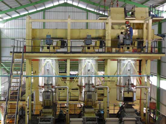 5TPH proyecto de procesamiento de aceite de palma