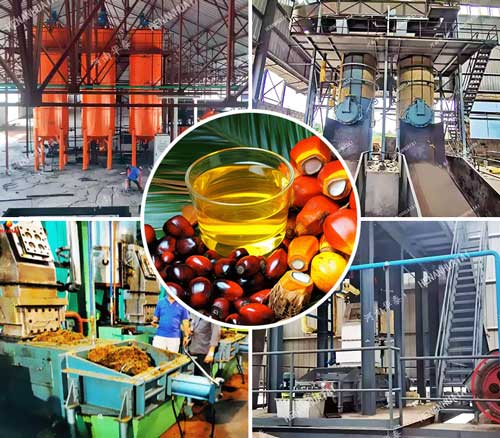 ¿Cómo se elabora el aceite de palma paso a paso?