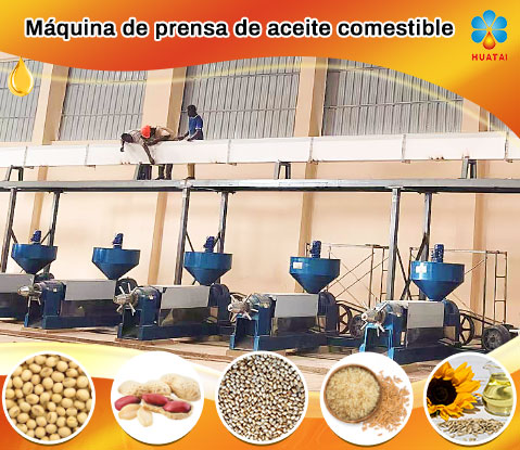 Máquina de prensa de aceite comestible