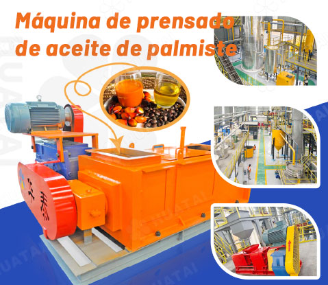 Máquina de extracción de aceite de palmiste
