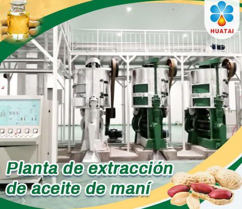 Planta de extracción de aceite de maní/cacahuete