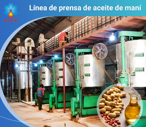 Línea de prensa de aceite de maní/cacahuete